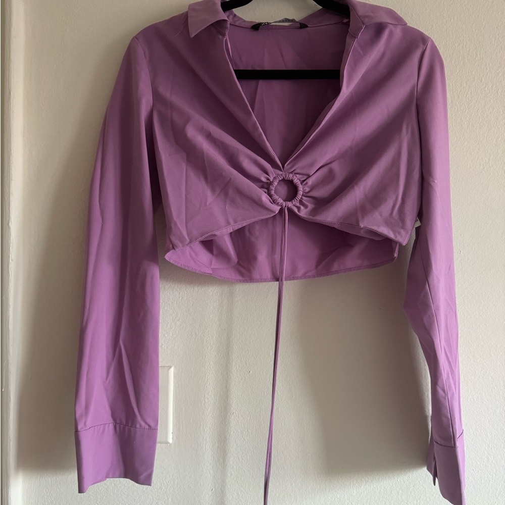 Zara crop top